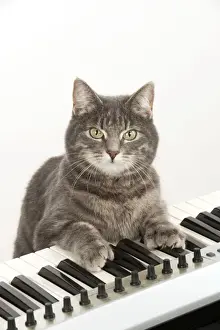 Instruments Prints: Picture No. 10983679