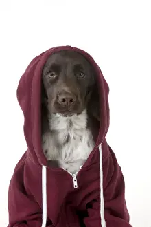 Hoodie Prints: Picture No. 10983766