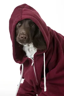 Hoodie Prints: Picture No. 10983767