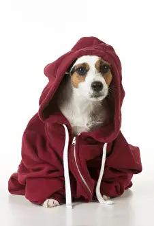 Hoodie Prints: Picture No. 10983769