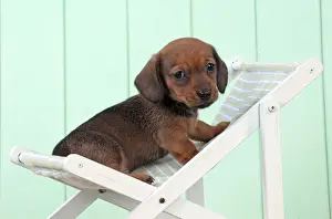 Deckchair Prints: Picture No. 10983802