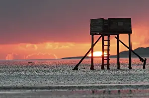Sunrises Prints: Picture No. 10984313