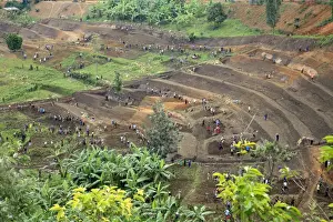 7 Prints: Picture No. 10984323