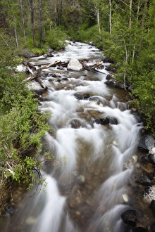 Images Dated 22nd June 2013: Picture No. 10984512