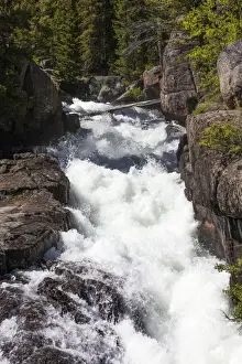 Rapids Prints: Picture No. 10984582