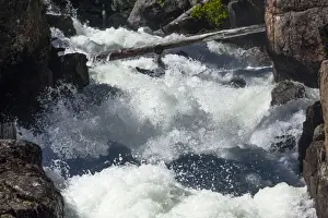 Rapids Prints: Picture No. 10984583