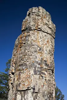 Petrified Prints: Picture No. 10984584