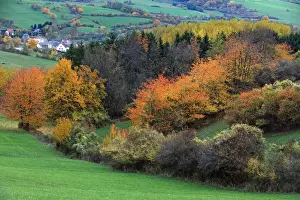 Hessen Prints: Picture No. 10984684