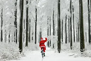 Bicycle Prints: Picture No. 10984721