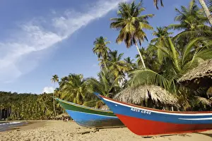 Holidays Prints: Picture No. 11014152
