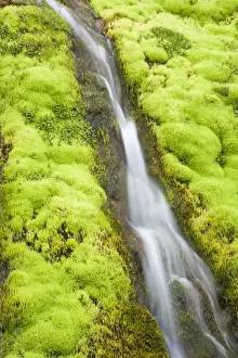 Fjords Prints: Picture No. 11014721
