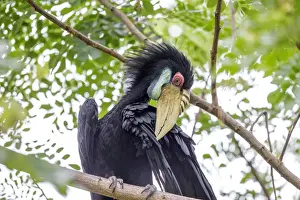 Picture No. 11049943