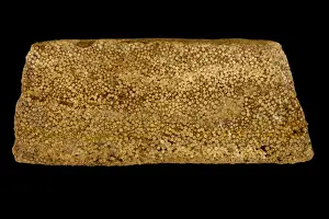 Sedimentary Prints: Picture No. 11050136