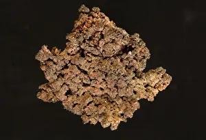 Copper Prints: Picture No. 11050142