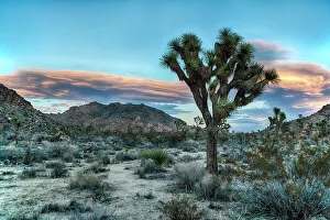 Scenics Collection: Picture No. 11051147