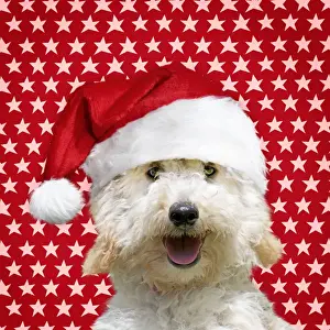 Christmas Prints: Picture No. 11052008