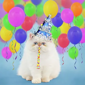 Birthday Collection: Picture No. 11052018