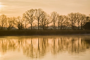 Images Dated 27th March 2012: Picture No. 11066818