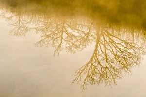 Images Dated 27th March 2012: Picture No. 11066820