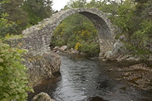 Images Dated 2nd June 2014: Picture No. 11067425