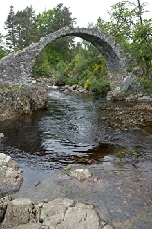 Images Dated 2nd June 2014: Picture No. 11067426