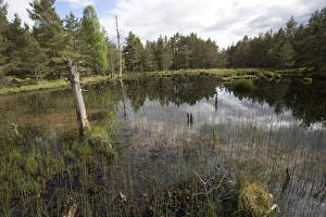 Images Dated 2nd June 2014: Picture No. 11067449