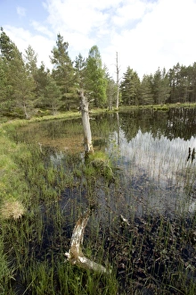 Images Dated 2nd June 2014: Picture No. 11067450