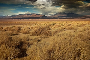 Scenics Collection: Picture No. 11073153