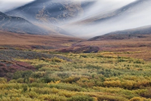 Autumnal Collection: Picture No. 11073480