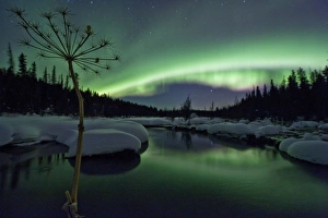 Images Dated 15th February 2012: Picture No. 11073536