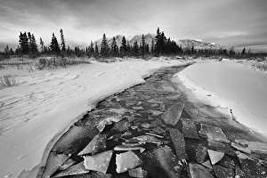 Images Dated 9th January 2012: Picture No. 11073557