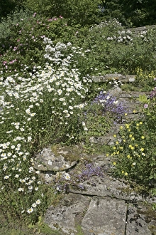 Images Dated 2005 June: 23 Jun 2005 Collection