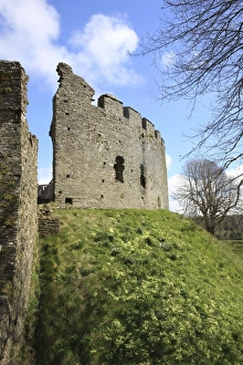 Images Dated 7th April 2009: Picture No. 11073686