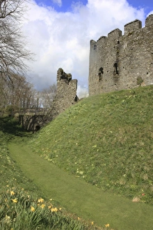 Images Dated 7th April 2009: Picture No. 11073688