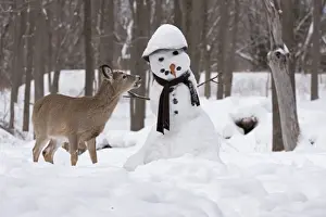 Snowmen Prints: Picture No. 11091646