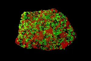 Mineralogy Prints: Picture No. 11091655