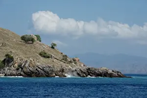 Komodo Prints: Picture No. 11091928