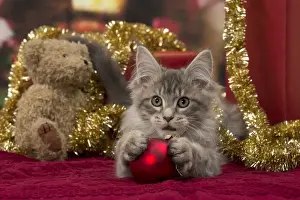 Baubles Prints: Picture No. 11092197
