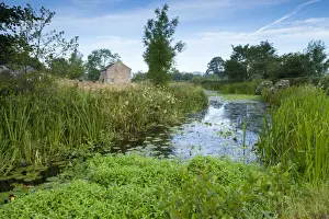 Canals Prints: Picture No. 11671298