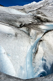 Images Dated 9th February 2011: Picture No. 11671856