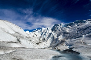 Images Dated 9th February 2011: Picture No. 11671857