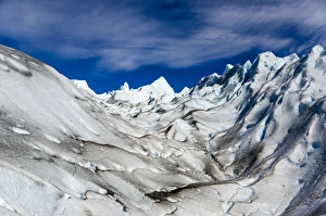 Images Dated 9th February 2011: Picture No. 11671858