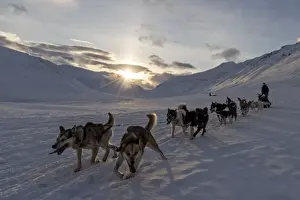Longyearbyen Prints: Picture No. 11671957