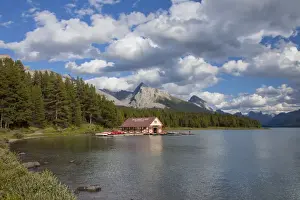 Maligne Prints: Picture No. 11672138