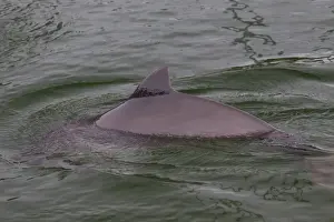 North Sea Prints: Picture No. 11672283