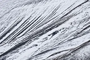Longyearbyen Prints: Picture No. 11672698