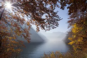 Bavaria Prints: Picture No. 11672763
