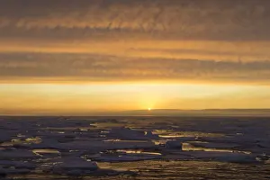 Floes Prints: Picture No. 11672844