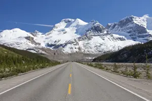 Road Prints: Picture No. 11672853