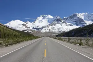 Road Prints: Picture No. 11672855